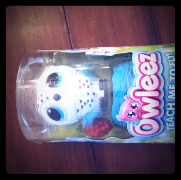 owleez teach me to fly